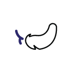 custom printed banners